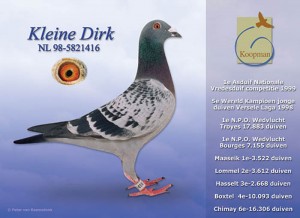 Kleine Dirk