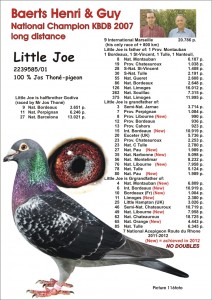 Little Joe