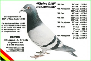 Kleine Didi